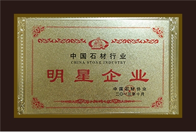 中国石材行业明星企业