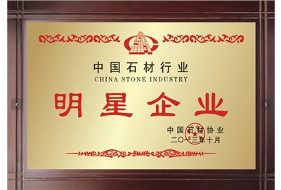 中国石材行业明星企业